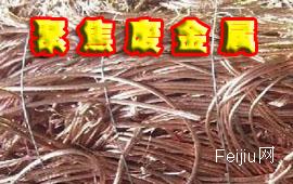 聚焦废金属