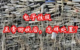 电子垃圾正常回收后，怎样处置？