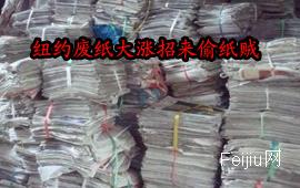 纽约废纸大涨招来偷纸贼