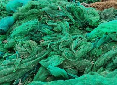 省级环保督察要紧扣高质量发展 省级环保督察要紧扣高质量发展