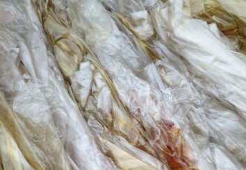 2023年底黄石市邮政快递企业禁用不可降解塑料