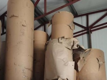 迈向碳中和 造纸业技术创新与绿色能源是关键