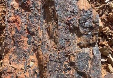 巴西6月铁矿石出口3368万吨