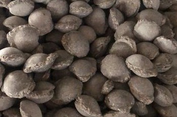 区域一体化发展是实现碳中和愿景重要途径之一