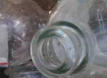 铝罐、PET和玻璃瓶成常用可持续包装解决方案 铝罐、PET和玻璃瓶成常用可持续包装解决方案