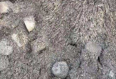 西安开展厨余垃圾和建筑垃圾收运专项执法行动