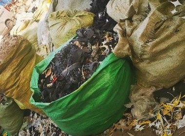 嘉兴南湖农村垃圾资源化利用和无害化处理率达100%