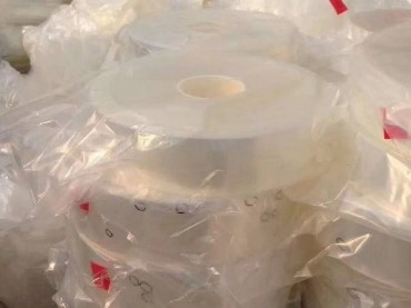 俄罗斯加入世贸组织塑料污染问题非正式对话