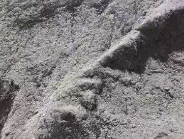 违法堆放瓦斯灰 两企业固废管理不善被判罚 违法堆放瓦斯灰 两企业固废管理不善被判罚