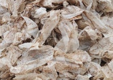 我国农膜回收情况如何？