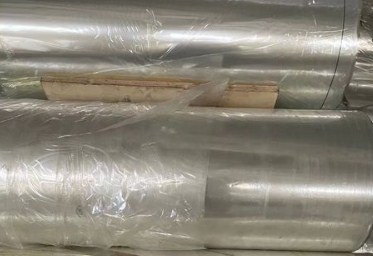 阿左旗实施限塑令一周年