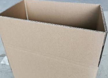 日本制纸公司开展“特优树种”树苗培育工作