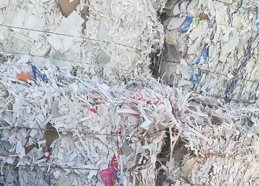 替代进口废纸 江西理文新项目开工 替代进口废纸 江西理文新项目开工