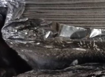 广东省环保产业发展简况（2021年）