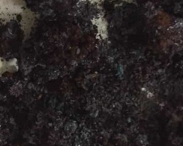 陕西奋力开创生态环保工作新局面