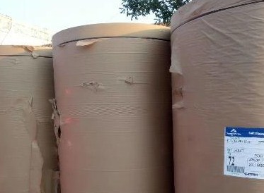 2022全球富豪榜发布 全球造纸首富易主