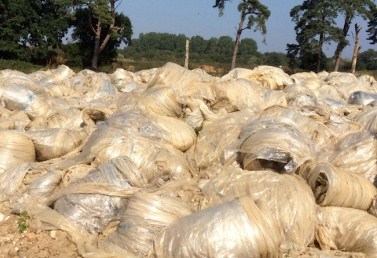 庆阳环县扎实开展废旧农膜回收利用工作 庆阳环县扎实开展废旧农膜回收利用工作