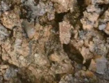 解读重庆强化危险废物监管和利用处置能力改革工作方案