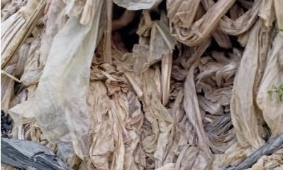 海门:推进农膜科学使用与回收 开展专项活动 Dingtalk_20220418171535.jpg