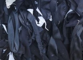 广州以案促治推动生态环境损害赔偿制度改革走深走实