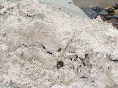 可持续城市发展的哈马碧模式将在中国落地 可持续城市发展的哈马碧模式将在中国落地