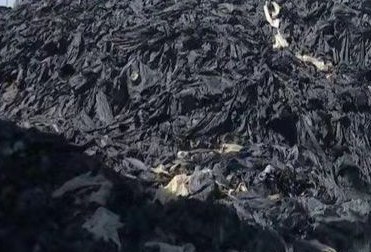 消除白色污染 甘州区小满镇三进三问三查 消除白色污染 甘州区小满镇三进三问三查