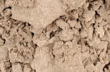 Arauco拟在巴西建设年产250万吨新纸浆厂