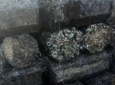 全国“无废城市”建设工作推进会议近日召开 全国“无废城市”建设工作推进会议近日召开