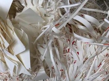 王子成功开发出材料可回收环保型纸杯原纸