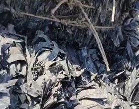 天津入选废旧物资循环利用体系建设重点城市